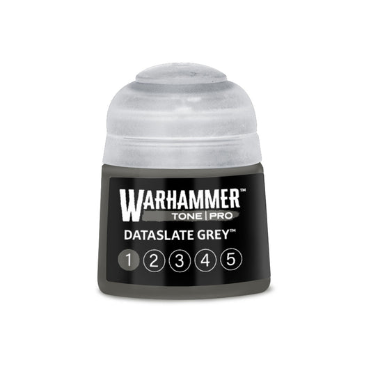 TONE PRO PAINT DATASLATE GREY